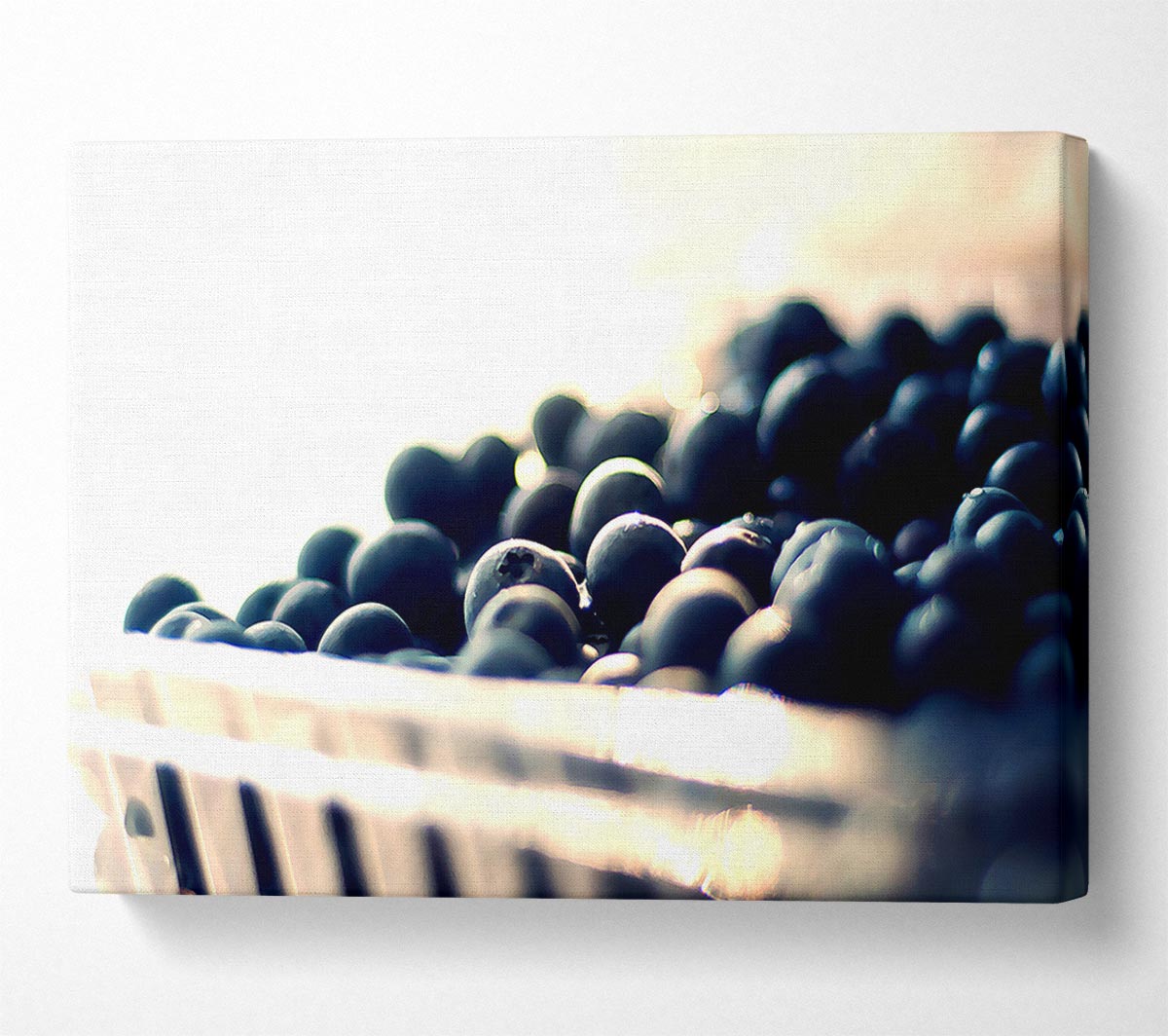 Wild Berries Canvas Art