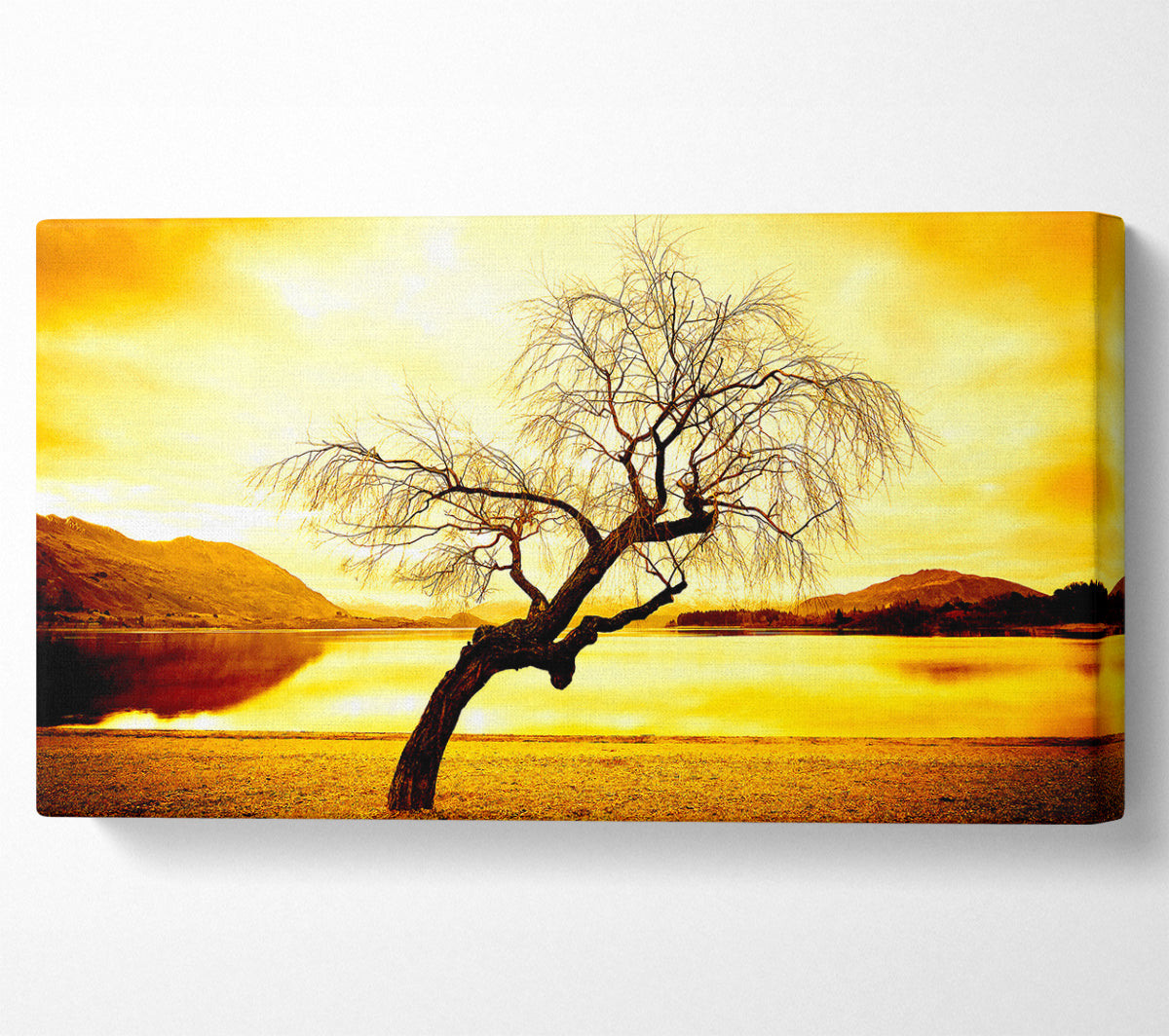 Willow Tree In Winter Canvas Wall Art
