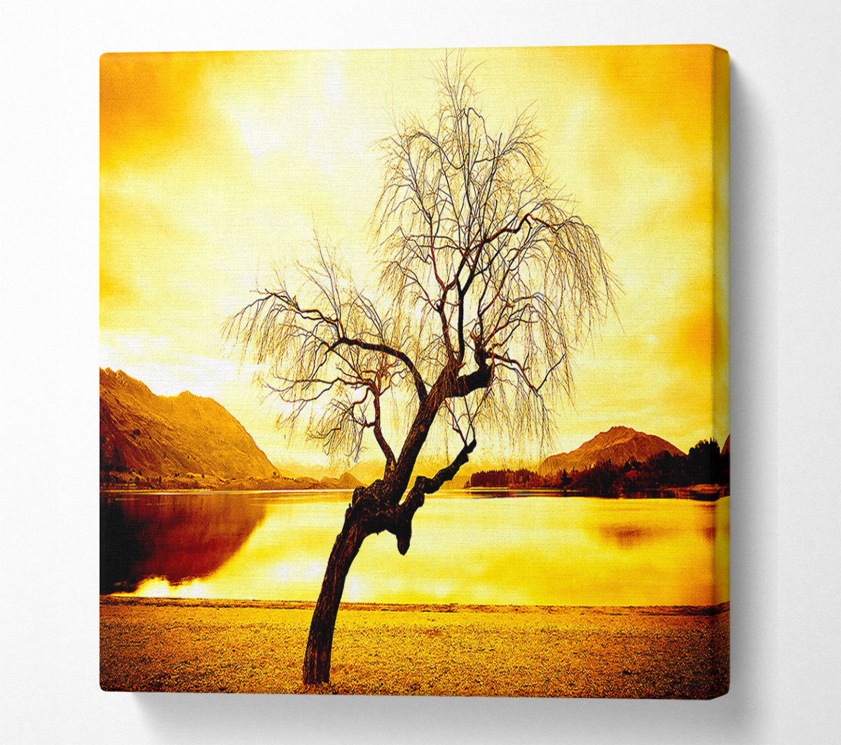 Willow Tree In Winter Canvas Wall Art