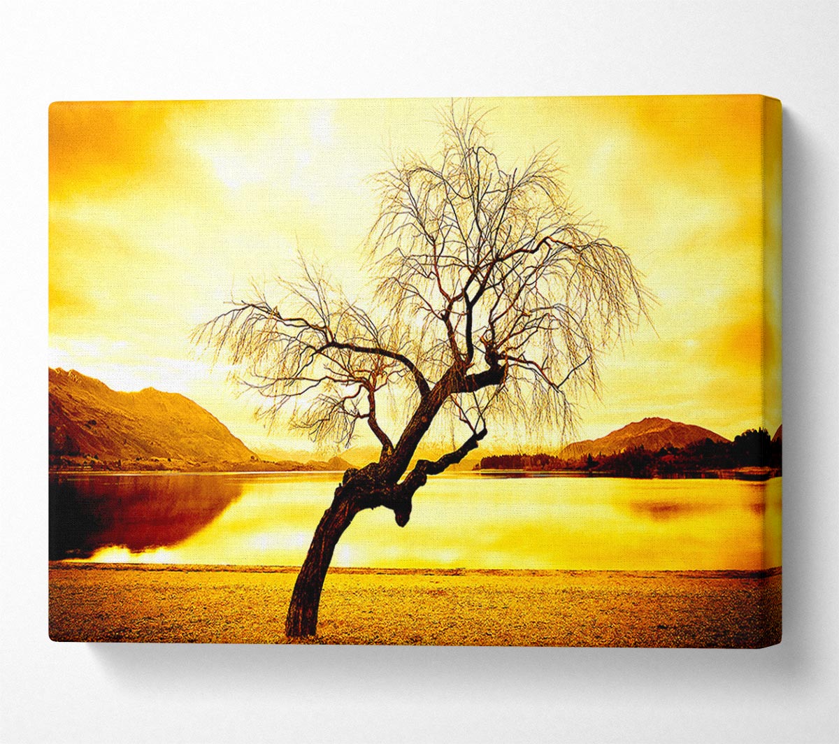 Willow Tree In Winter Canvas Wall Art