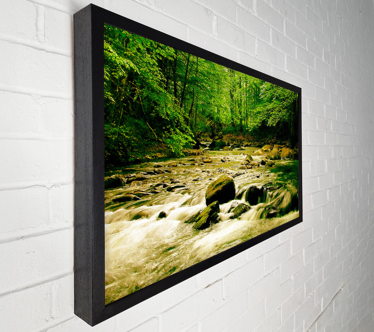 The Green River Forest Canvas Wall Art