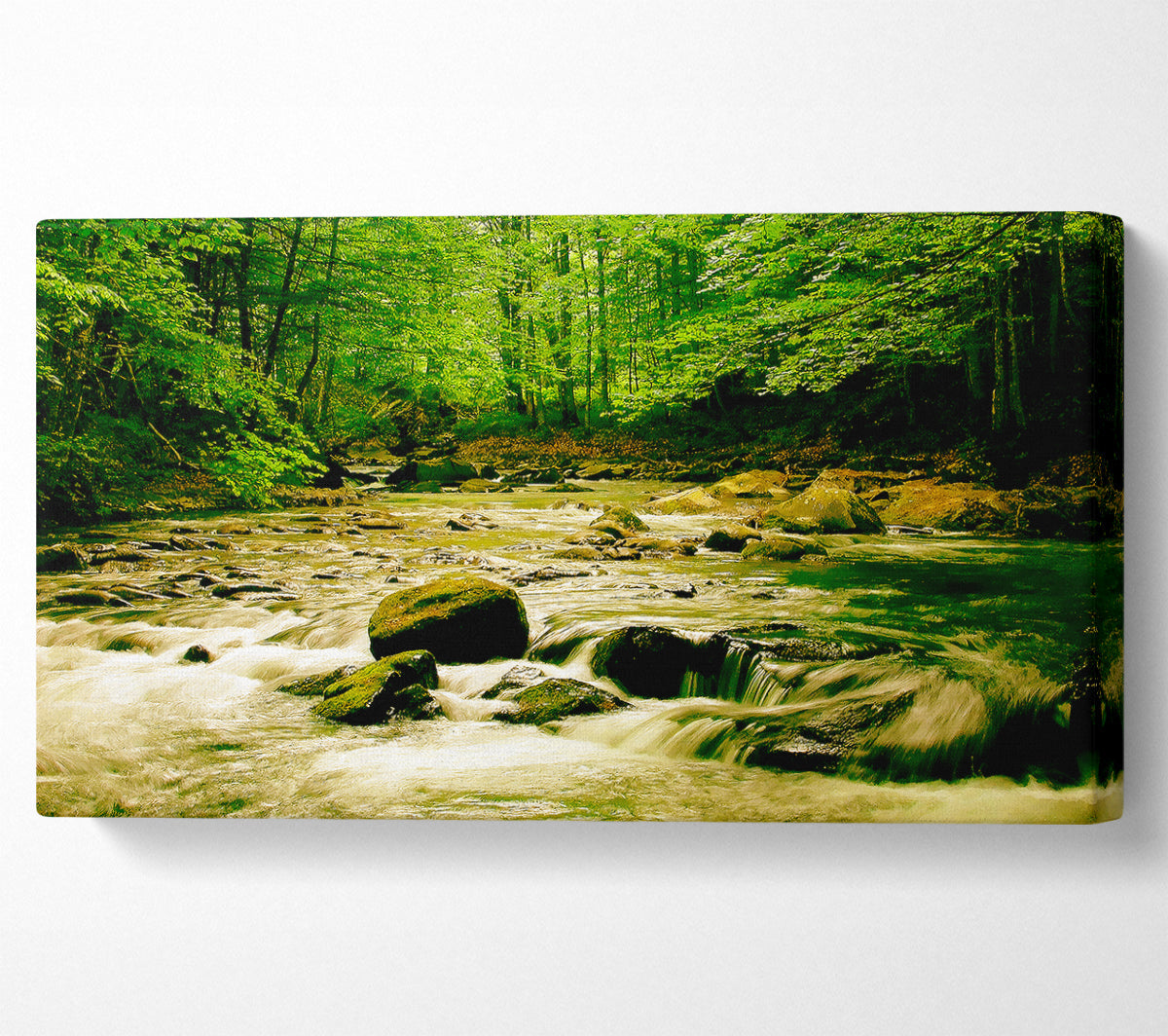The Green River Forest Canvas Wall Art