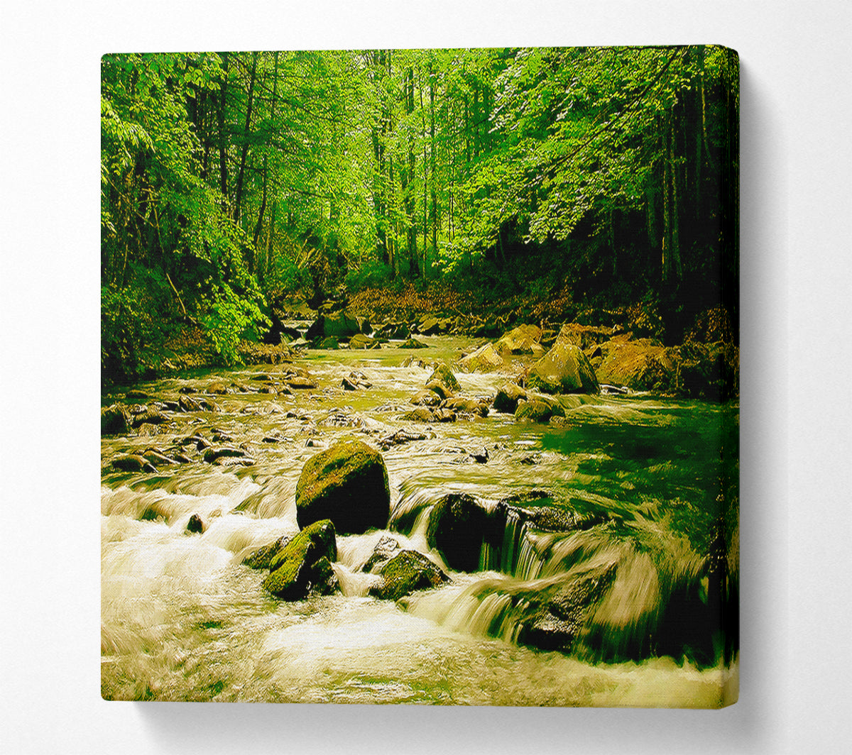 The Green River Forest Canvas Wall Art