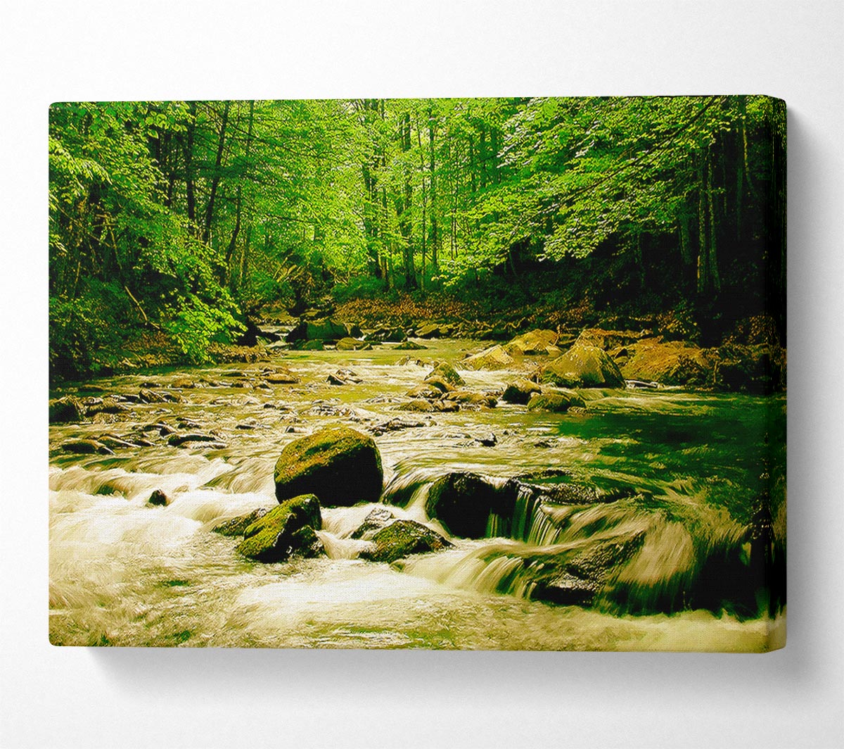 The Green River Forest Canvas Wall Art