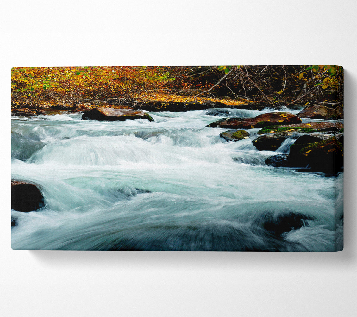 River Rocks Canvas Wall Art