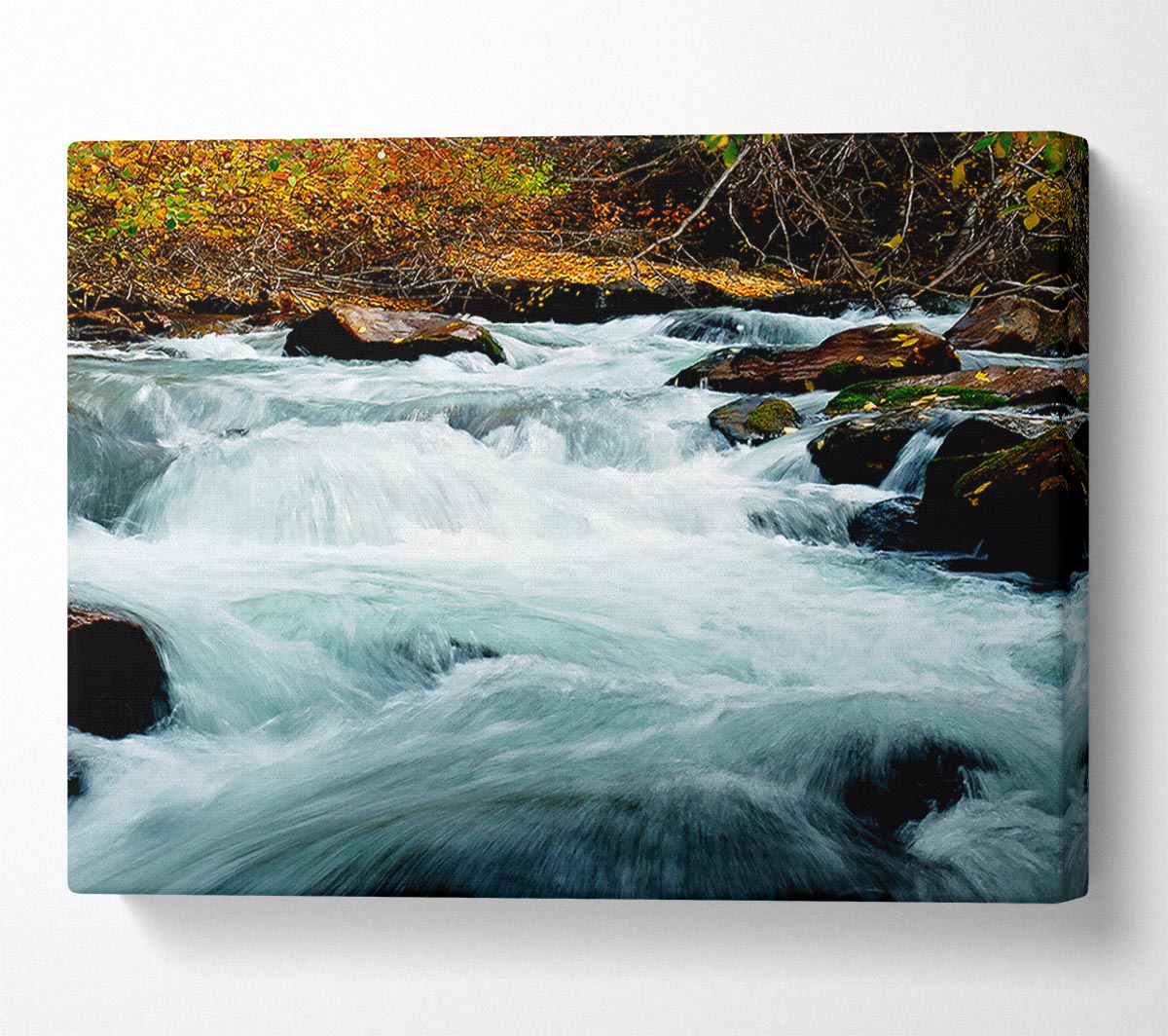 River Rocks Canvas Wall Art
