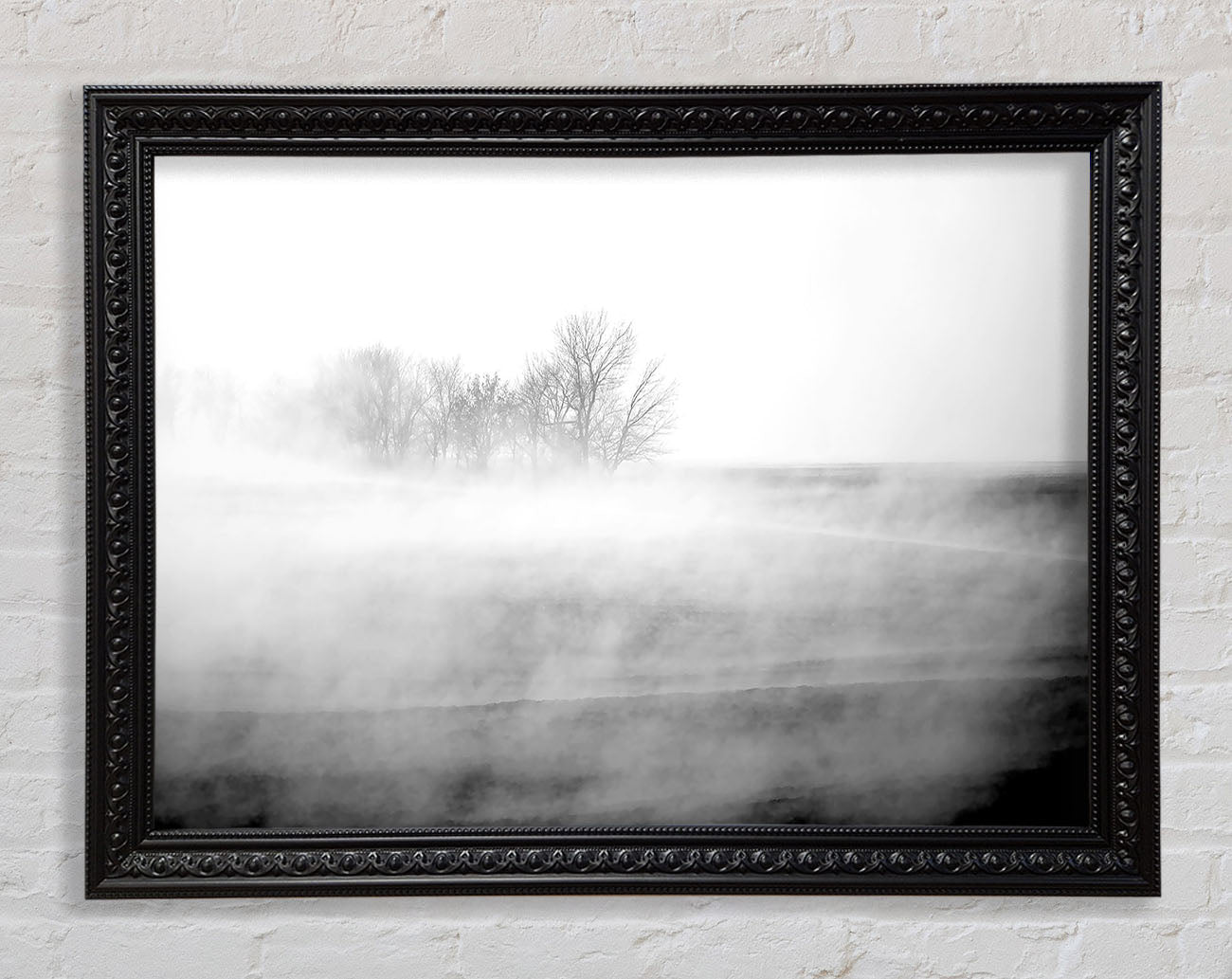 Absorption B n W Framed Print