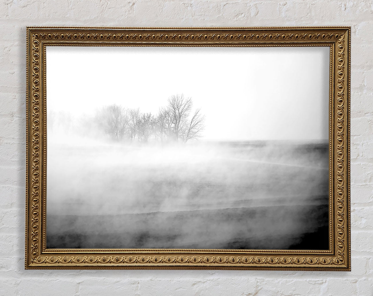 Absorption B n W Framed Print