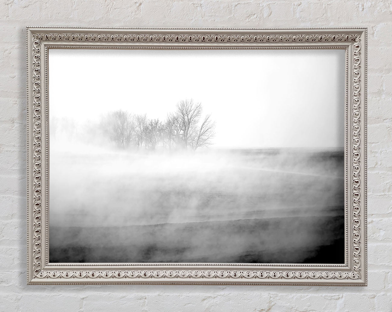 Absorption B n W Framed Print