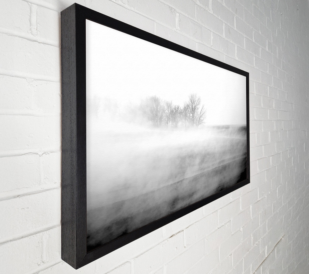 Absorption B n W Canvas Art