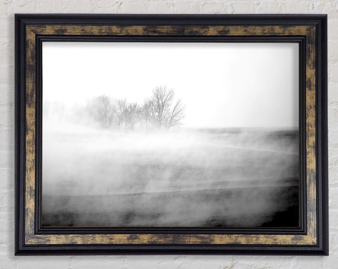 Absorption B n W Framed Print