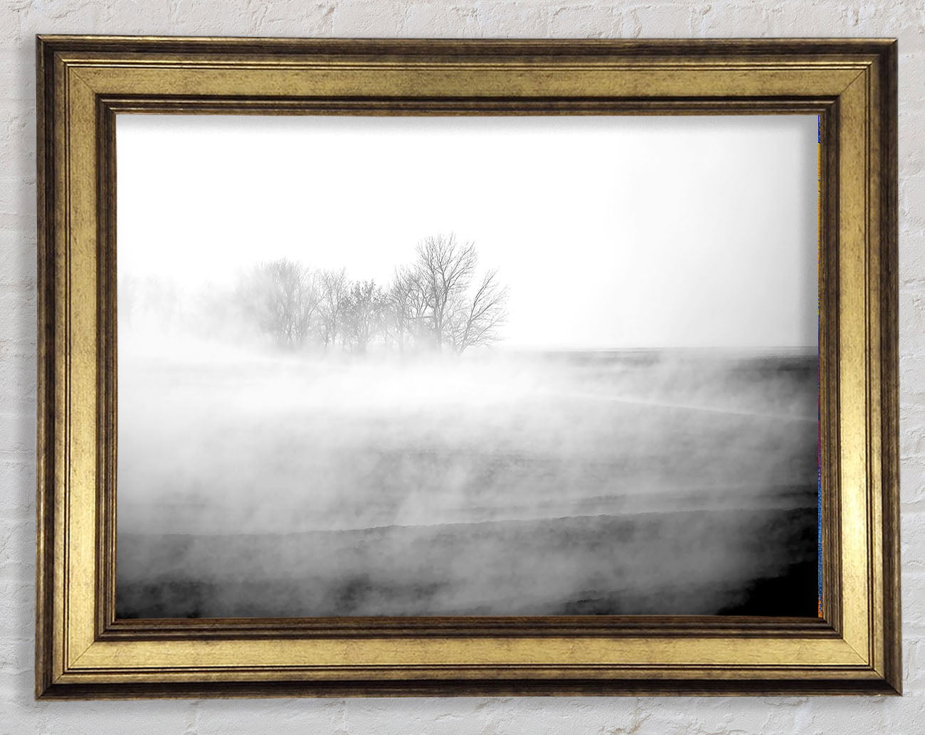 Absorption B n W Framed Print