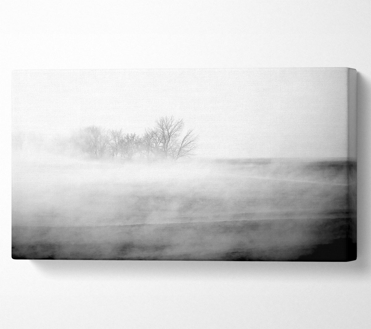Absorption B n W Canvas Art