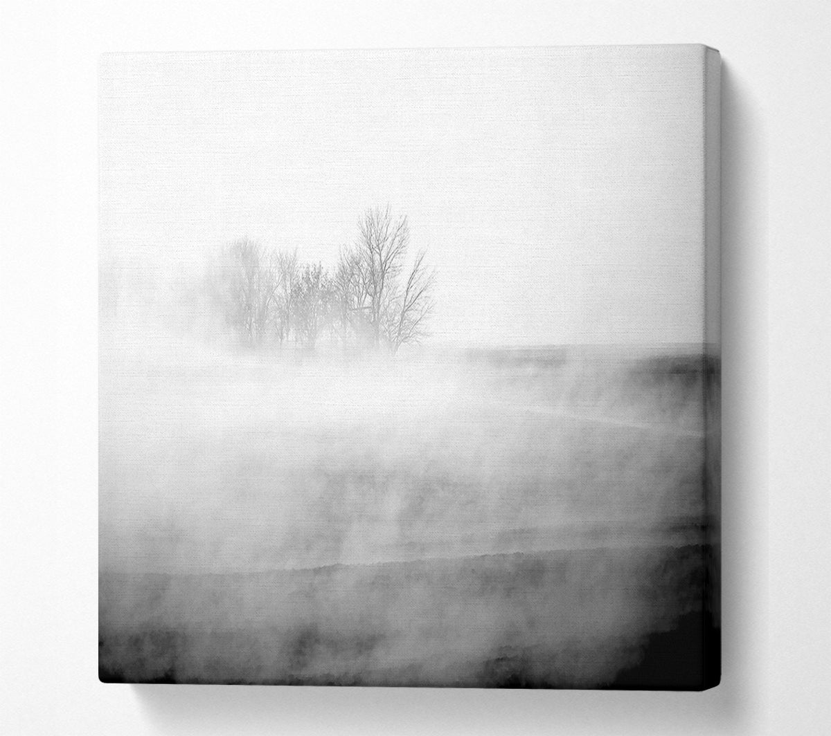 Absorption B n W Canvas Art