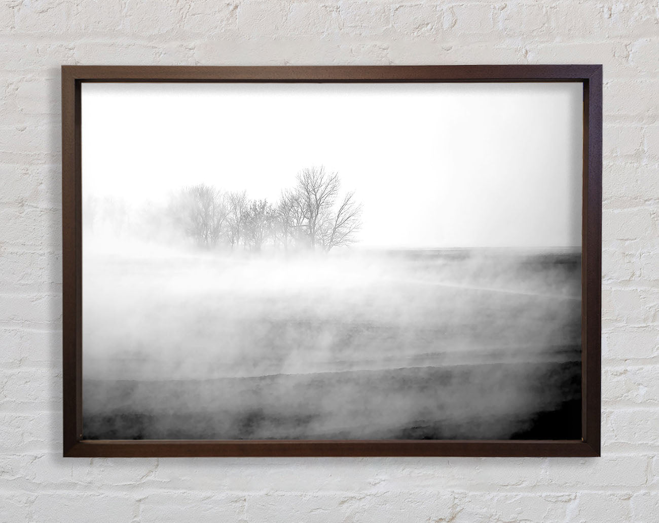 Absorption B n W Framed Print
