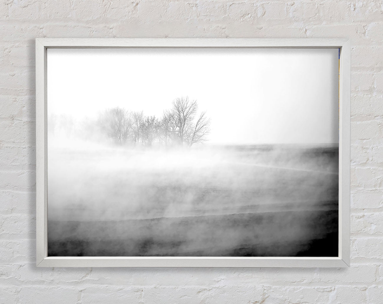 Absorption B n W Framed Print