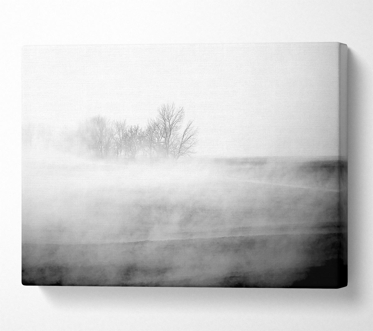 Absorption B n W Canvas Art