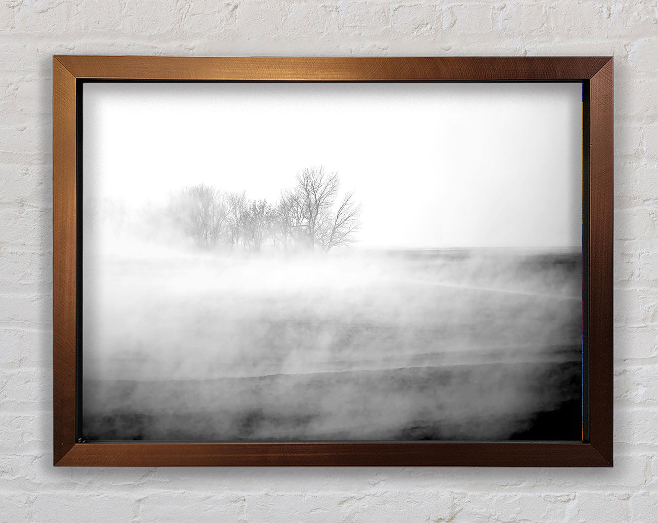 Absorption B n W Framed Print