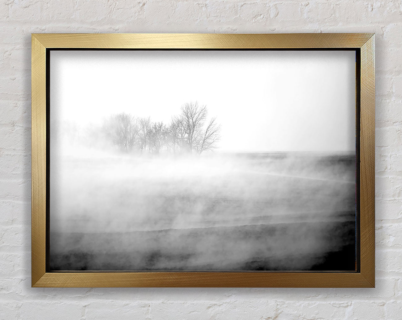 Absorption B n W Framed Print