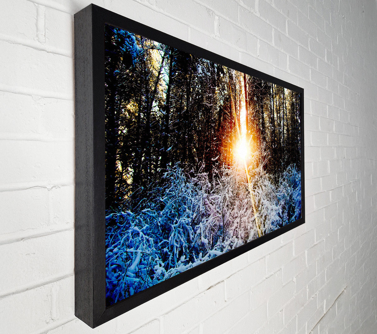 Sunlight Through Trees Winter Canvas Wall Art