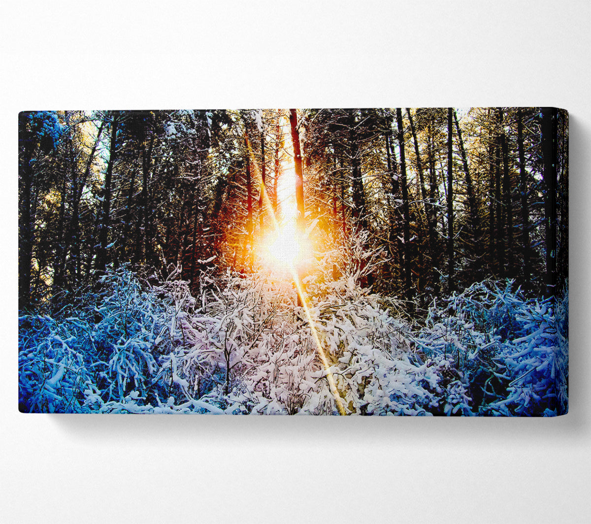 Sunlight Through Trees Winter Canvas Wall Art