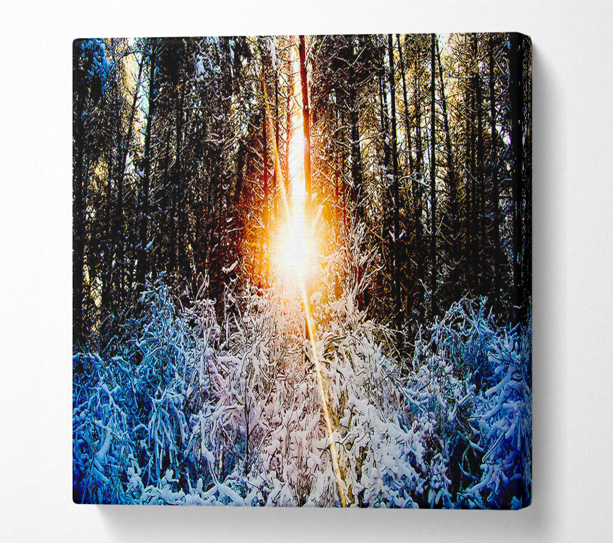 Sunlight Through Trees Winter Canvas Wall Art