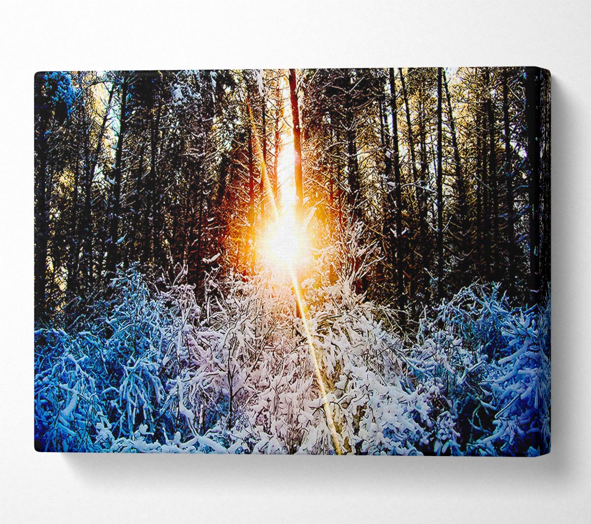Sunlight Through Trees Winter Canvas Wall Art