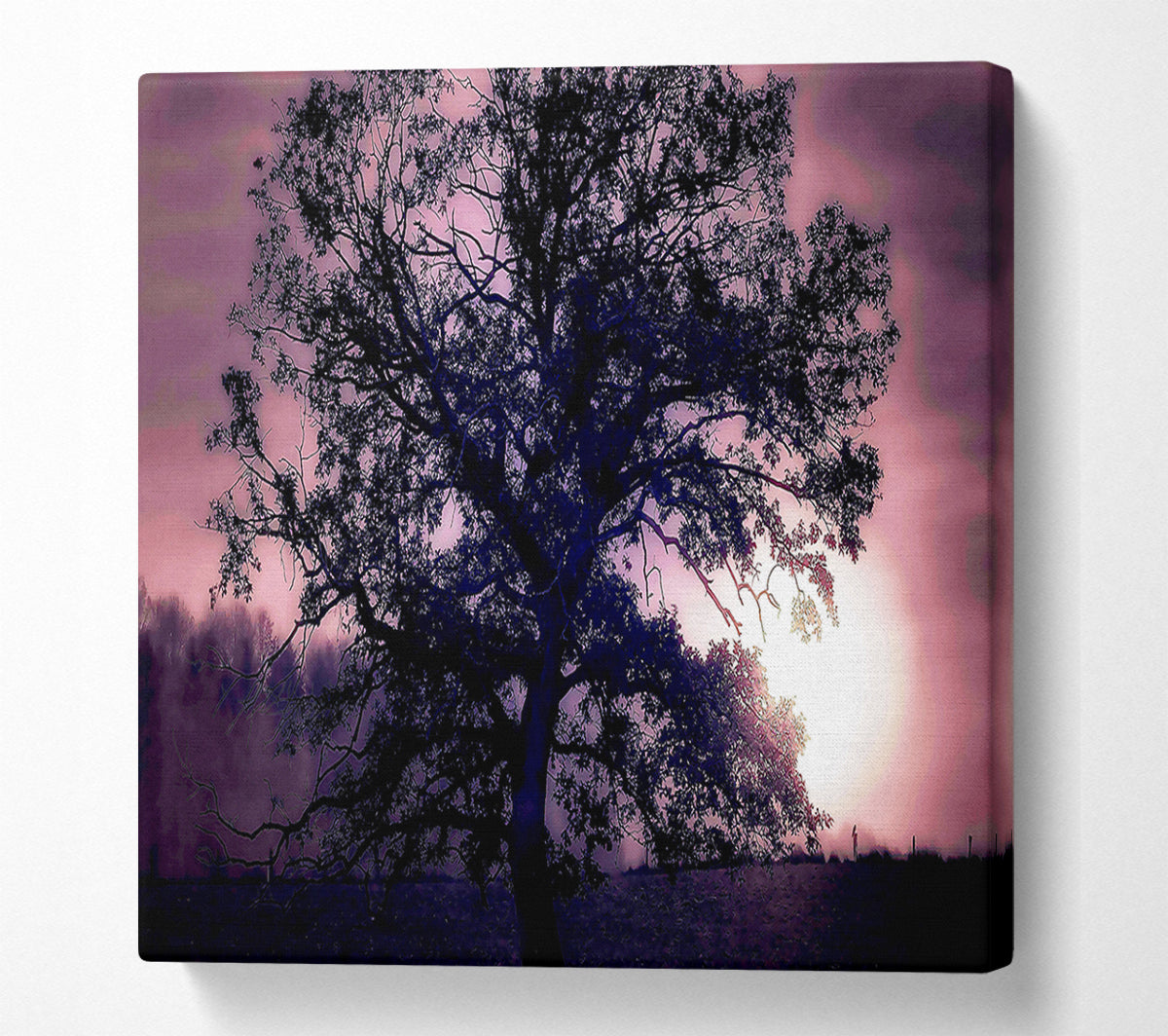 Tree Under Full Moon Canvas Wall Art