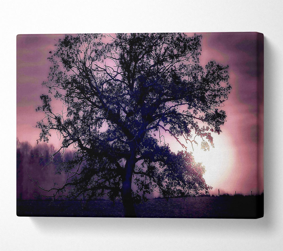 Tree Under Full Moon Canvas Wall Art