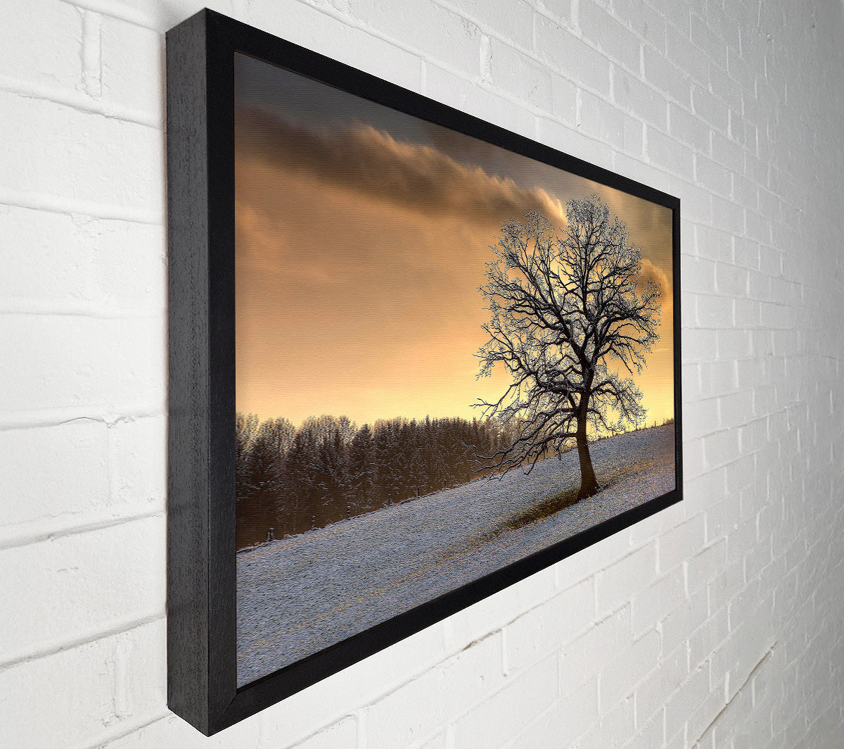 Solitary Tree Winter Canvas Wall Art
