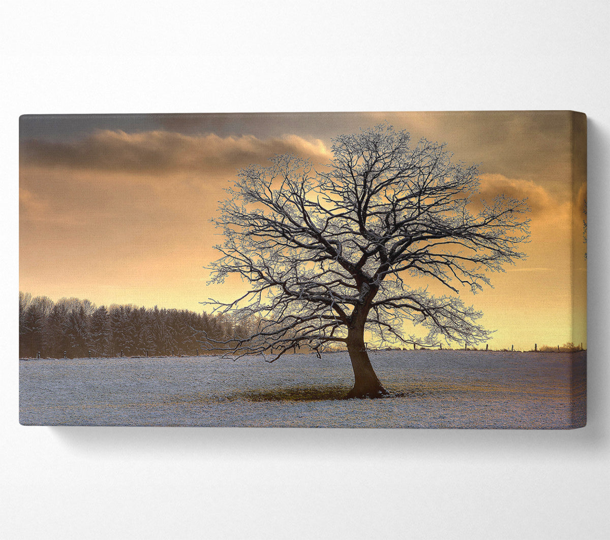 Solitary Tree Winter Canvas Wall Art