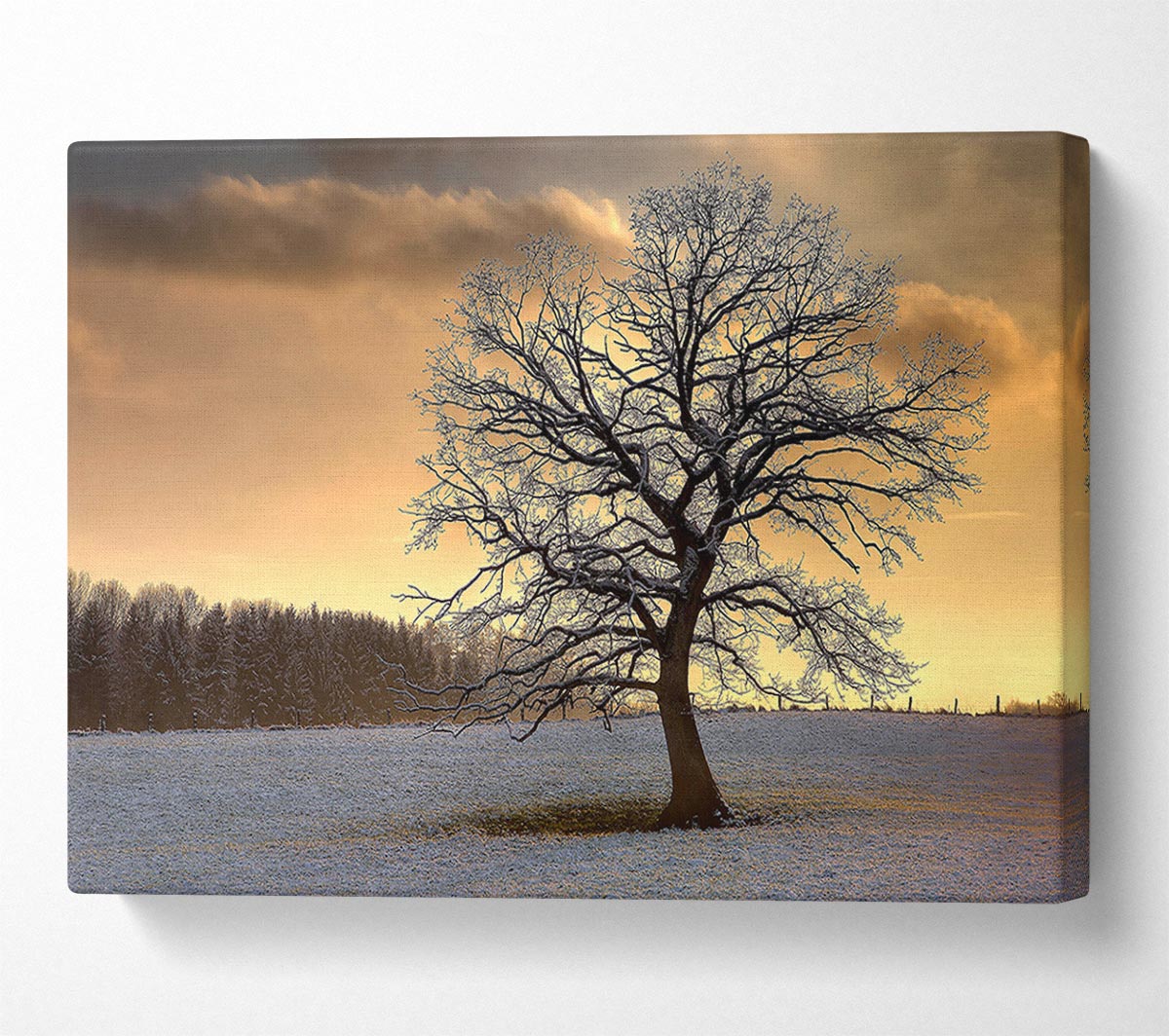 Solitary Tree Winter Canvas Wall Art