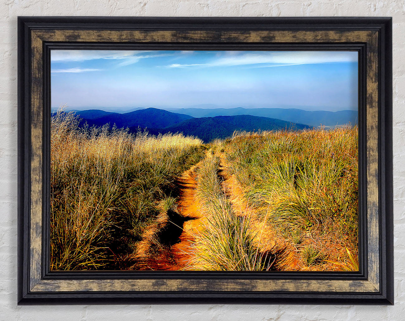 Hiking Path Framed Print