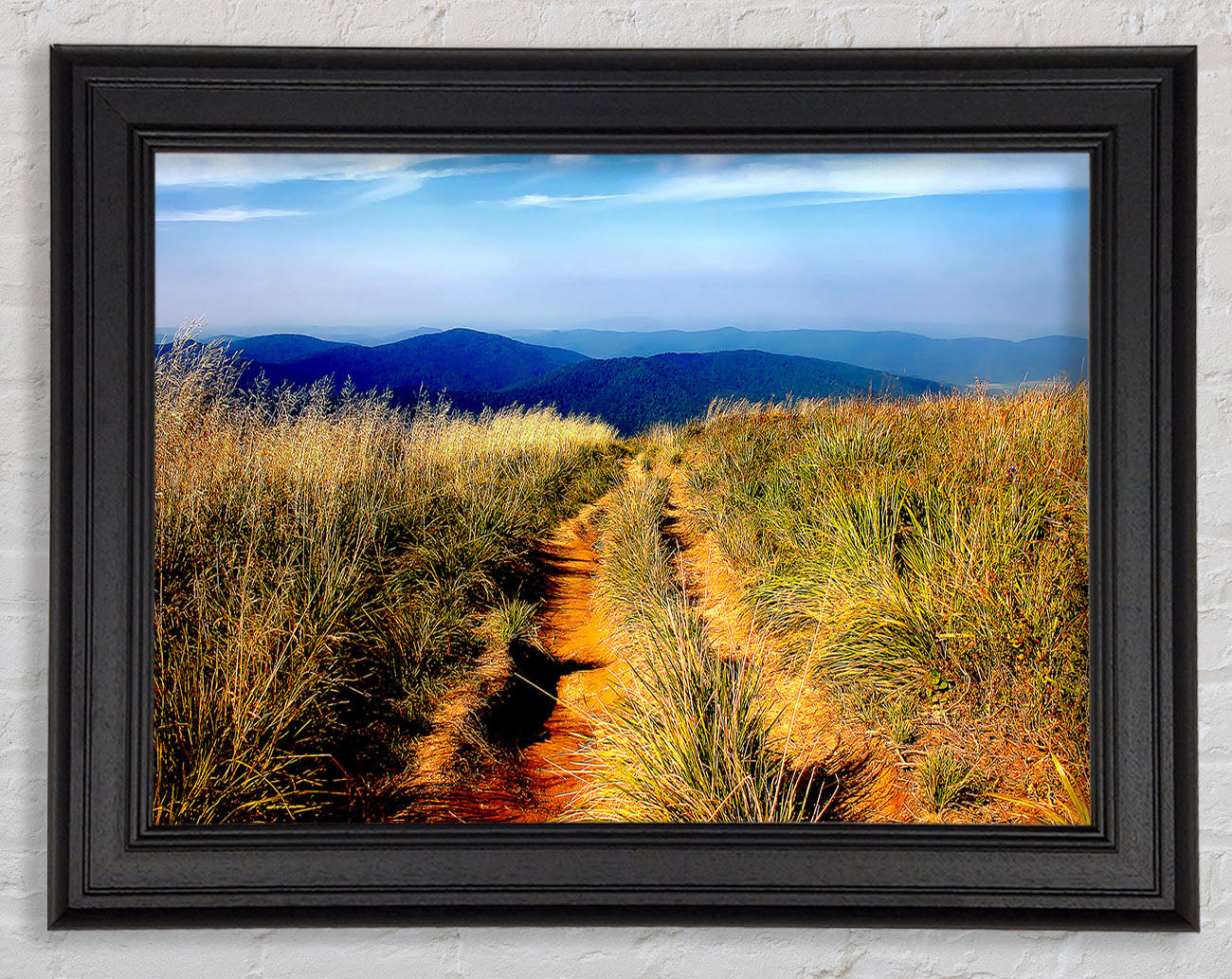 Hiking Path Framed Print
