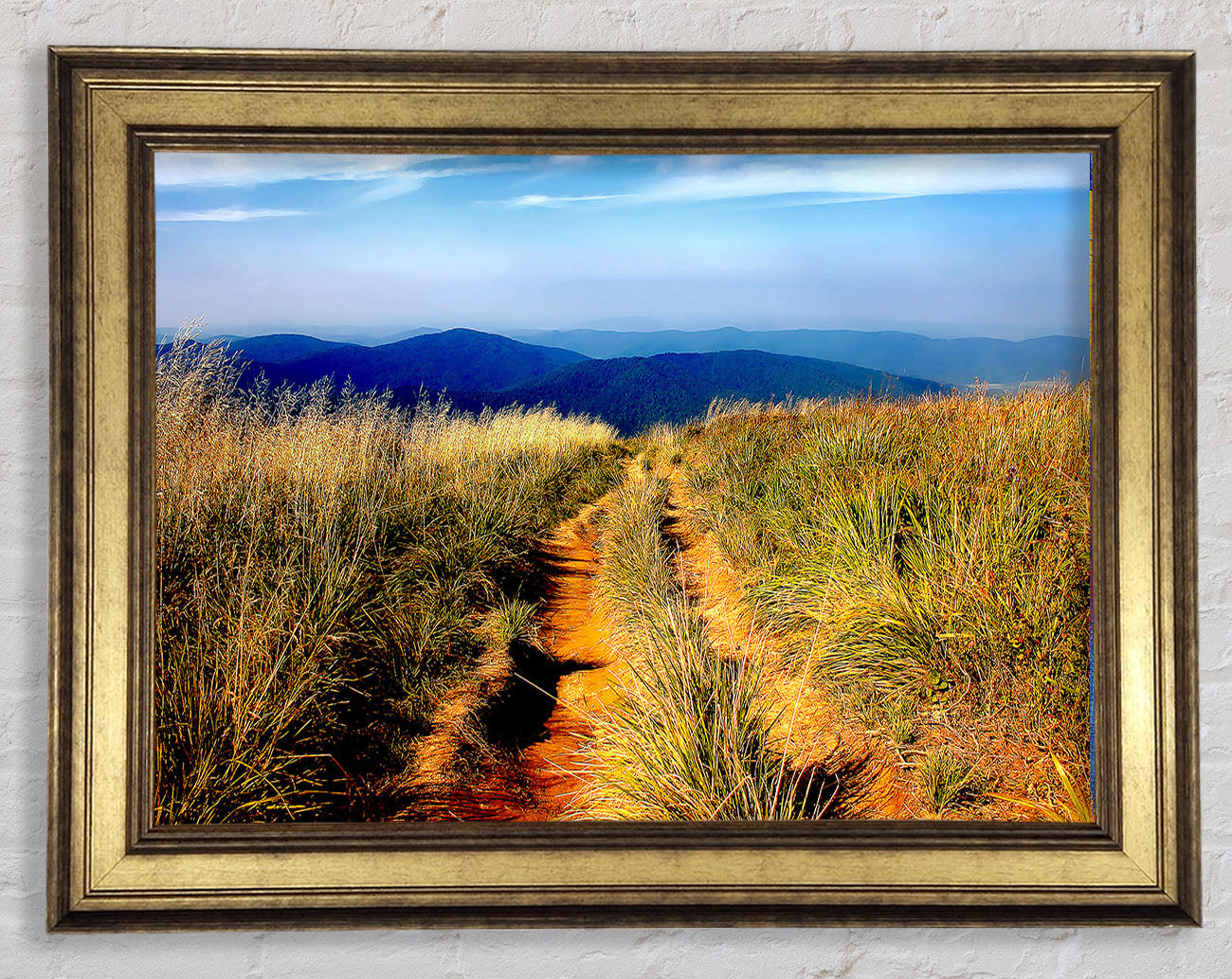 Hiking Path Framed Print