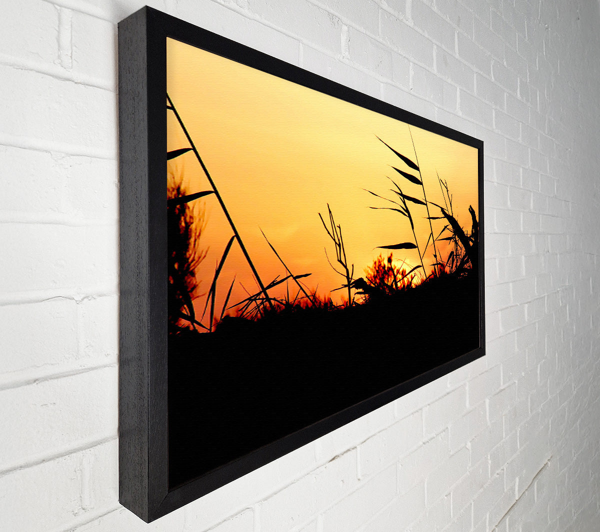 Sunset Reeds Canvas Wall Art