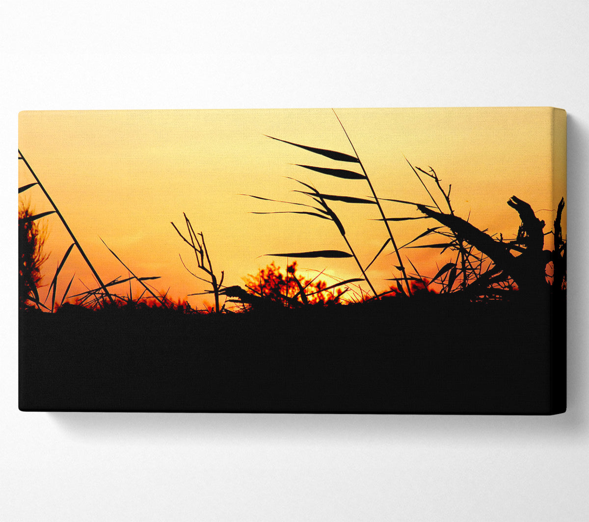 Sunset Reeds Canvas Wall Art