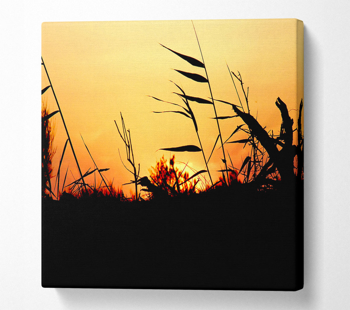 Sunset Reeds Canvas Wall Art