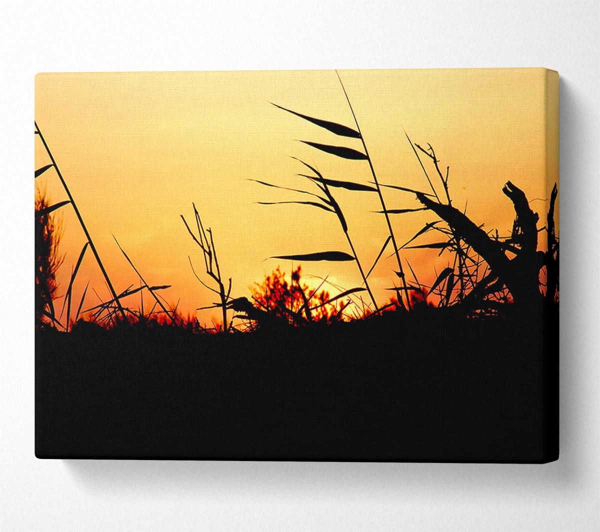 Sunset Reeds Canvas Wall Art