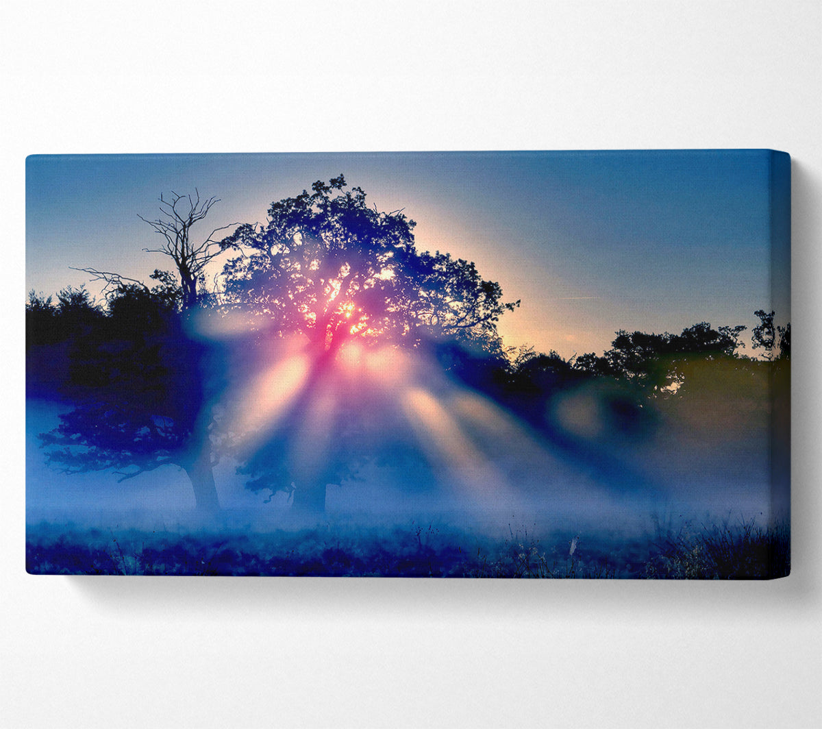 Sunset Blaze Canvas Wall Art