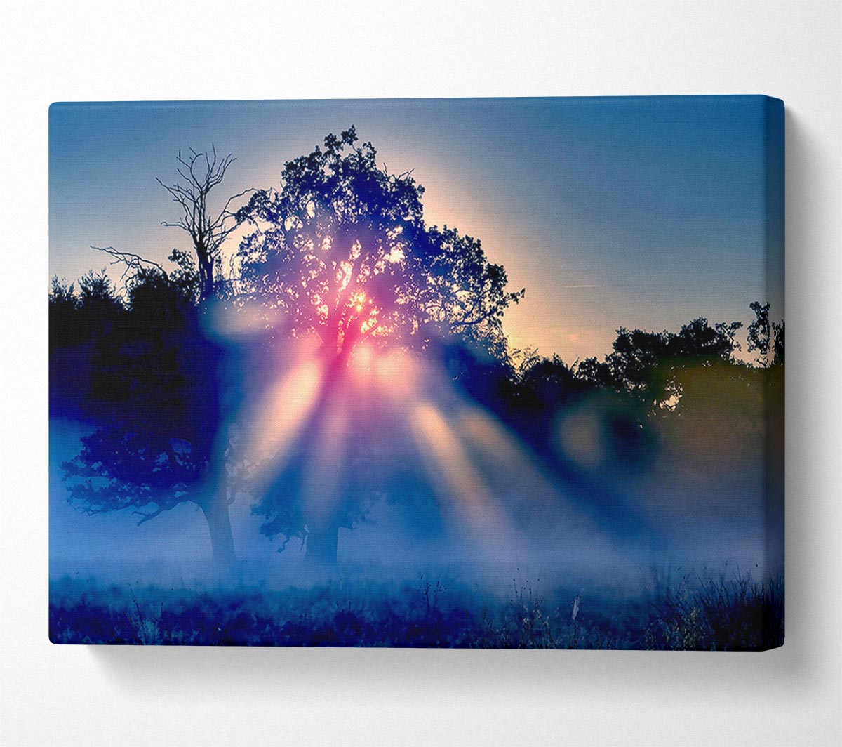 Sunset Blaze Canvas Wall Art