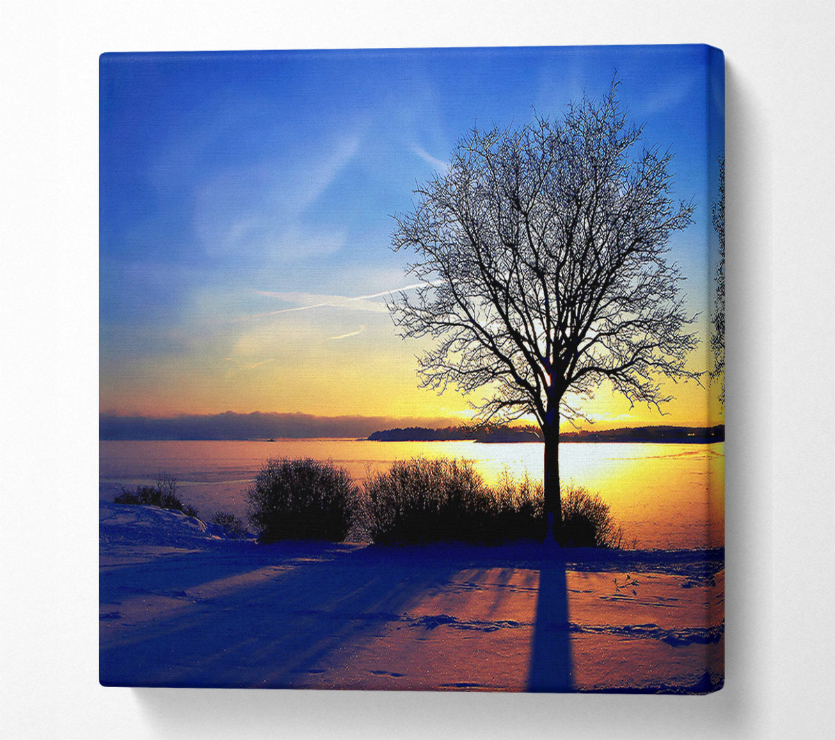 A Calm Winters Day Canvas Print