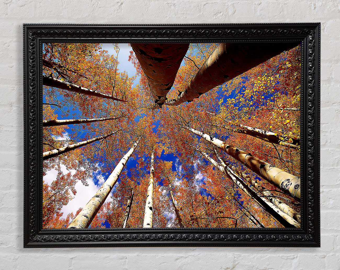 Above The Trees Framed Print