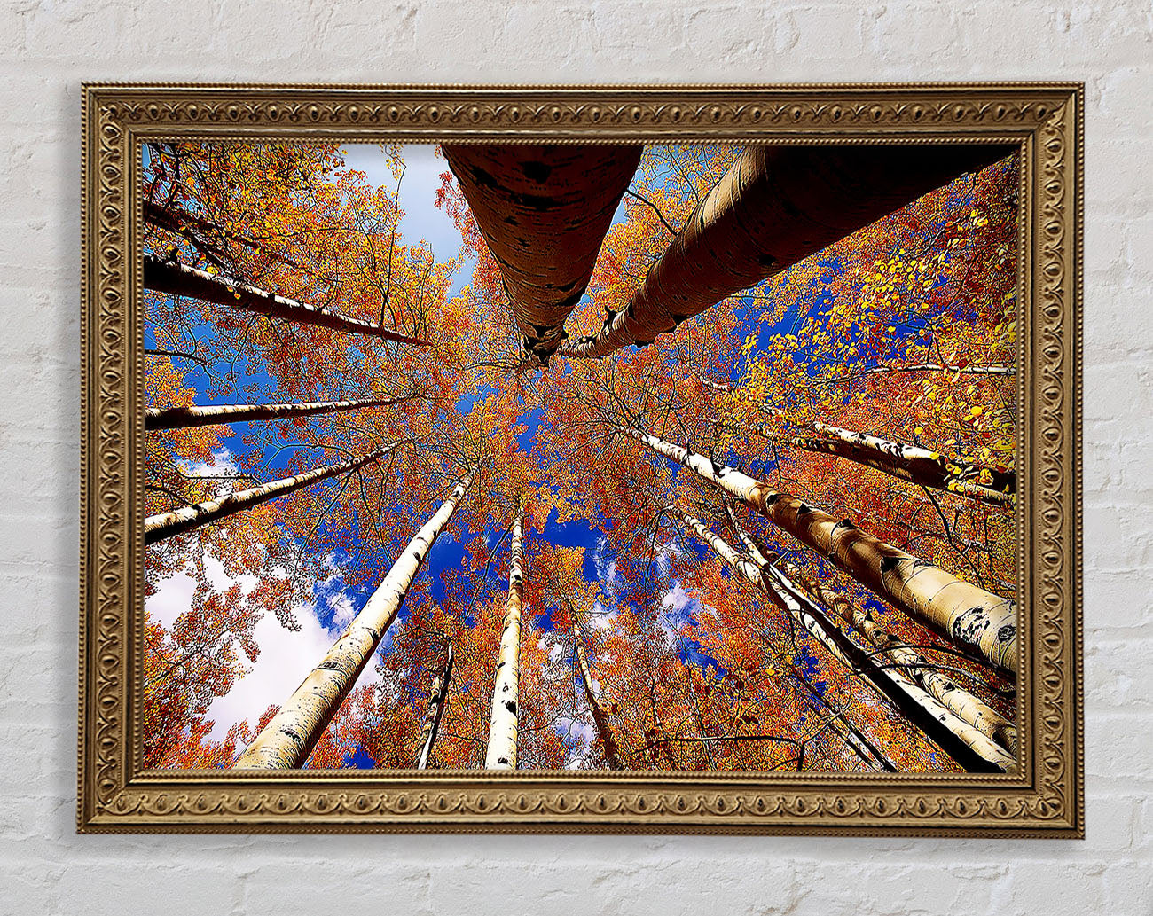 Above The Trees Framed Print