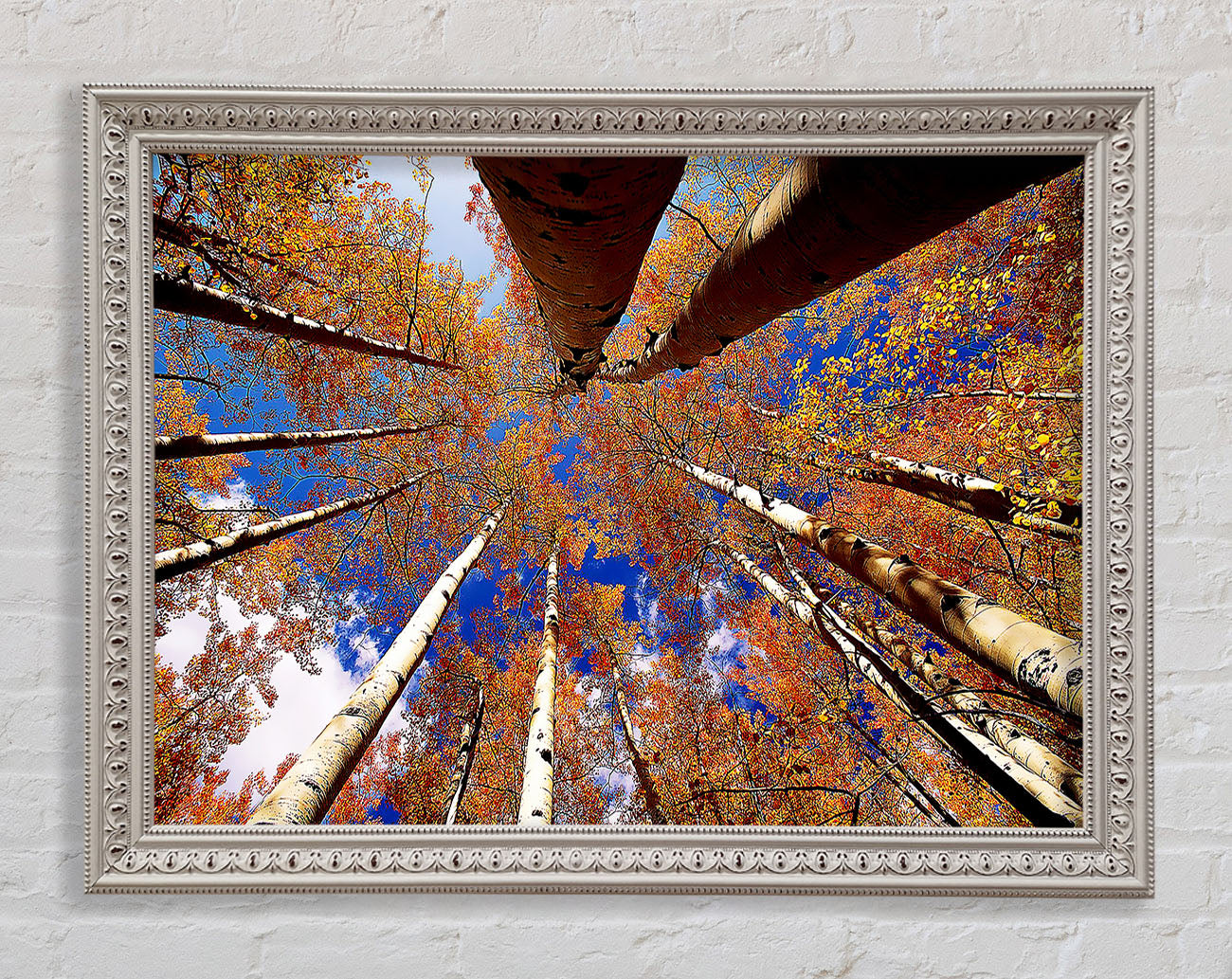 Above The Trees Framed Print