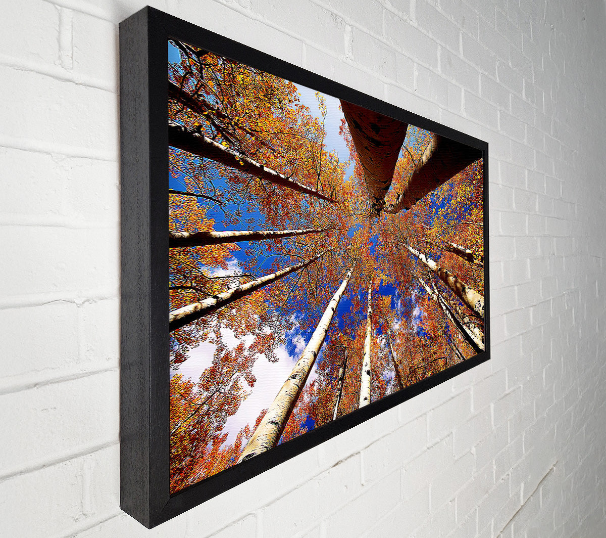 Above The Trees Canvas Wall Art