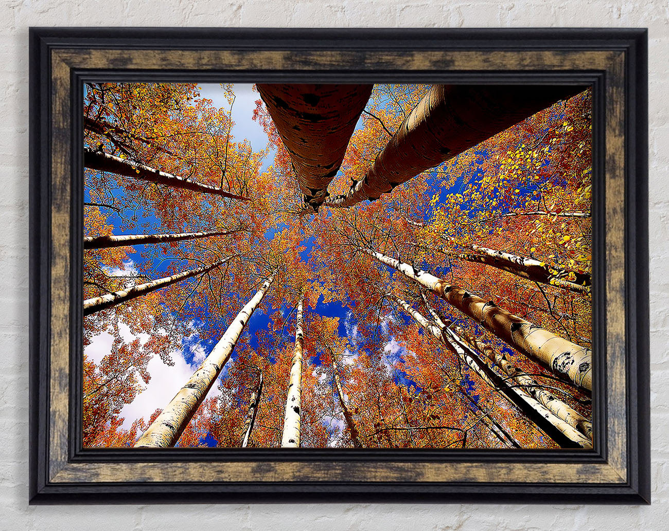 Above The Trees Framed Print