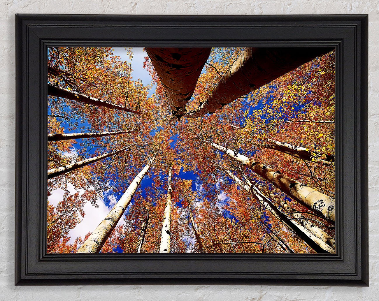 Above The Trees Framed Print