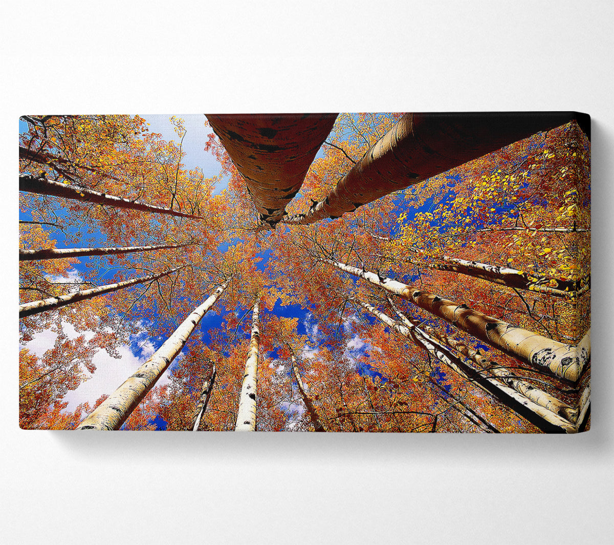 Above The Trees Canvas Wall Art