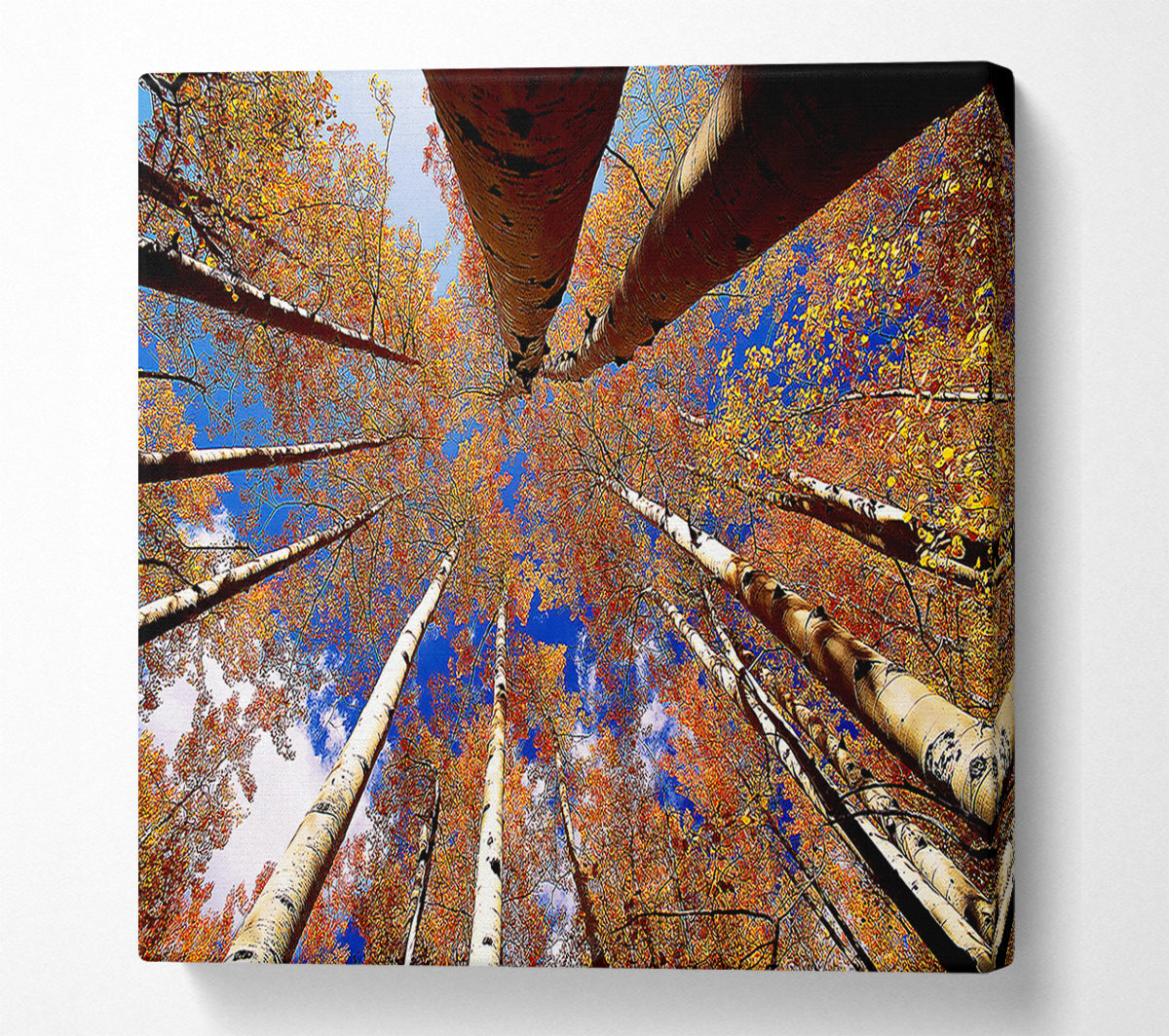Above The Trees Canvas Wall Art